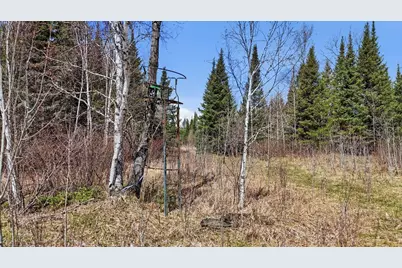 8849 Hwy 25, Angora, MN 55703 - Photo 13