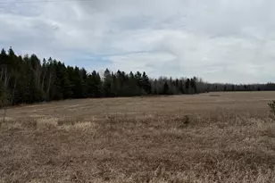 3630 Co Rd 142, International Falls, MN 56649 - Photo 19