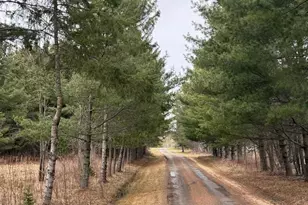 3630 Co Rd 142, International Falls, MN 56649 - Photo 21