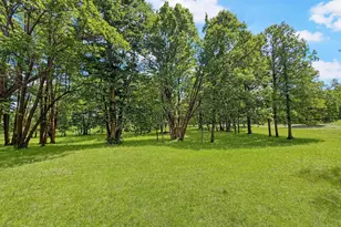 24301 Obrien Creek Rd NE, Hines, MN 56647 - Photo 71