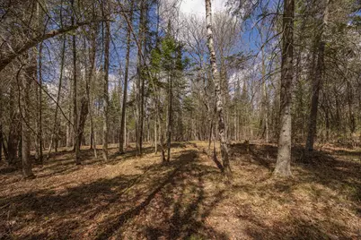 8891 Boy Lake Drive NE, Remer, MN 56672 - Photo 25