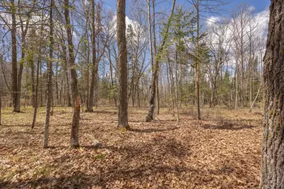 8891 Boy Lake Drive NE, Remer, MN 56672 - Photo 35