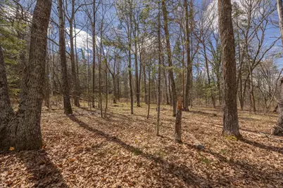 8891 Boy Lake Drive NE, Remer, MN 56672 - Photo 3