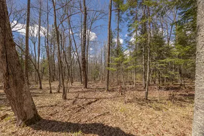 8891 Boy Lake Drive NE, Remer, MN 56672 - Photo 33