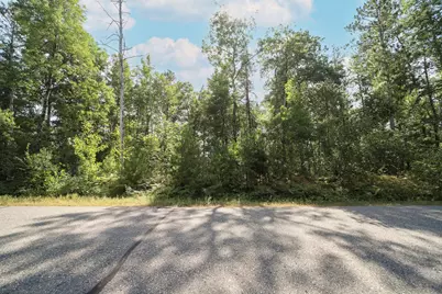 Tbd McGill Street, Pequot Lakes, MN 56472 - Photo 3