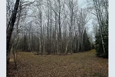 9464 Highway 53, Kabetogama, MN 56669 - Photo 9