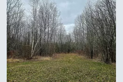 9464 Highway 53, Kabetogama, MN 56669 - Photo 7