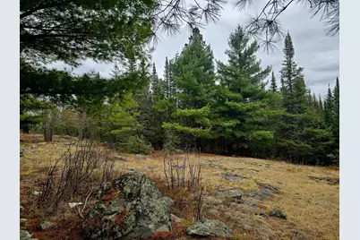9464 Highway 53, Kabetogama, MN 56669 - Photo 29