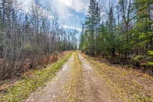 4214 McSweeney Rd, Mountain Iron, MN 55768 - Photo 47
