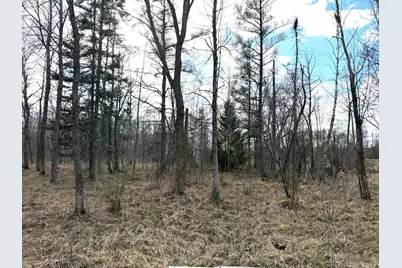 10121 State Hwy 87, Menahga, MN 56464 - Photo 83