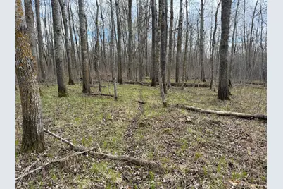 10121 State Hwy 87, Menahga, MN 56464 - Photo 53