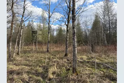 10121 State Hwy 87, Menahga, MN 56464 - Photo 81