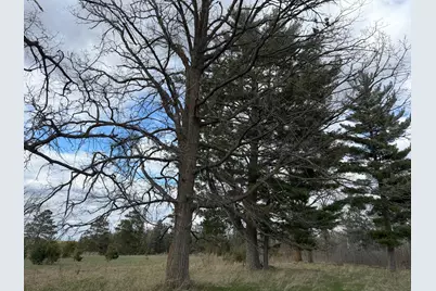 10121 State Hwy 87, Menahga, MN 56464 - Photo 59