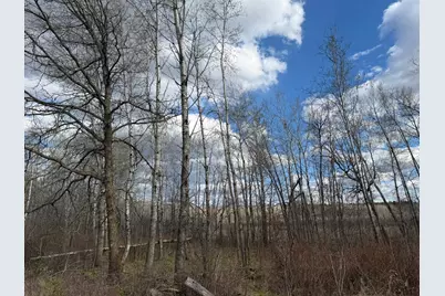 10121 State Hwy 87, Menahga, MN 56464 - Photo 29