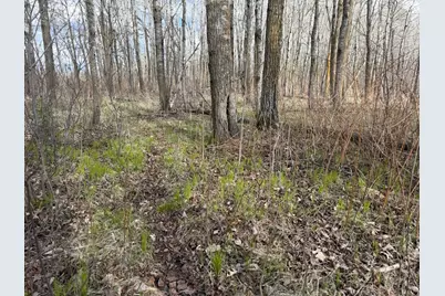10121 State Hwy 87, Menahga, MN 56464 - Photo 35