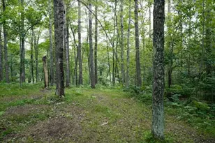 W8432 Webb Creek Dr, Trego, WI 54888 - Photo 29