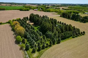N4175 800th St, Ellsworth, WI 54011 - Photo 59