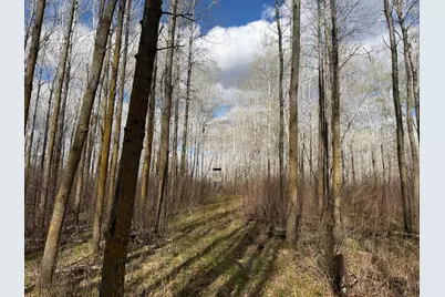 Tbd Wadena Line Road, Menahga, MN 56464 - Photo 25