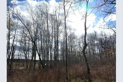 Tbd Wadena Line Road, Menahga, MN 56464 - Photo 15