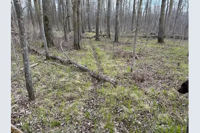 Tbd Wadena Line Road, Menahga, MN 56464 - Photo 39