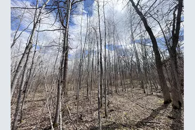 Tbd Boot Lake Rd SW, Bemidji, MN 56601 - Photo 23