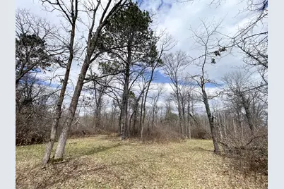 Tbd Boot Lake Rd SW, Bemidji, MN 56601 - Photo 29