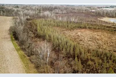 Tbd1 Boot Lake Road SW, Bemidji, MN 56601 - Photo 11