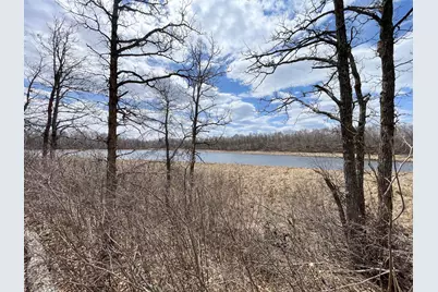 Tbd1 Boot Lake Road SW, Bemidji, MN 56601 - Photo 19