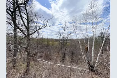 Tbd1 Boot Lake Road SW, Bemidji, MN 56601 - Photo 29