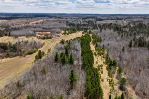 10918 County 95, Laporte, MN 56461 - Photo 35