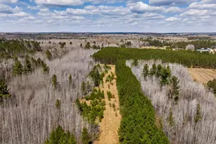 10918 County 95, Laporte, MN 56461 - Photo 31