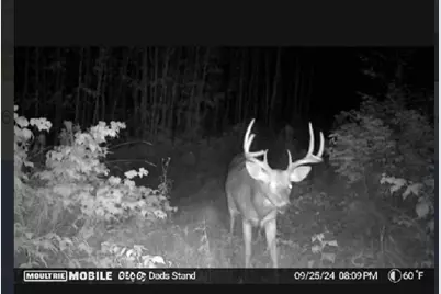 Tbd US Hwy 2, Bagley, MN 56621 - Photo 1