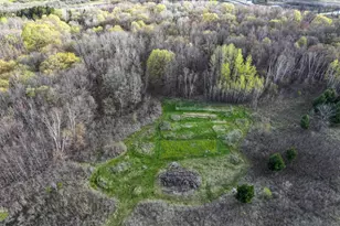 21945 County 38, Long Prairie, MN 56347 - Photo 55