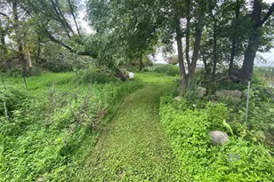 6836 159th St NE, Atwater, MN 56209 - Photo 27