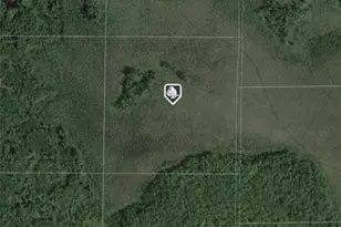 Na Na, Ross Lake Township, MN 56431 - Photo 1