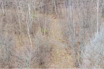 Tbd Kestrel Trail NW, Hackensack, MN 56452 - Photo 11