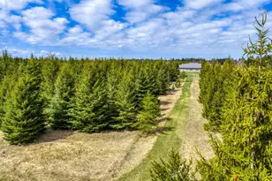 2008 Whiting Rd NW, Bemidji, MN 56601 - Photo 41