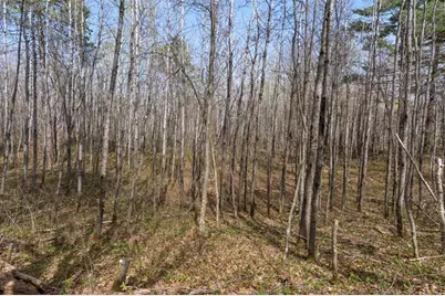 9382 County Road 8, Brainerd, MN 56401 - Photo 99