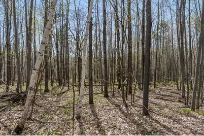 9382 County Road 8, Brainerd, MN 56401 - Photo 97