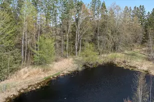 35727 Quest Rd, Hillman, MN 56338 - Photo 67