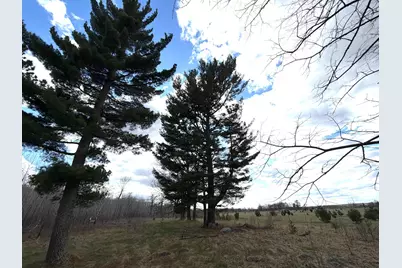 10121 State Highway 87, Menahga, MN 56464 - Photo 15