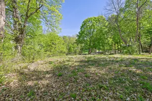 1373 Rest Point Rd, Orono, MN 55364 - Photo 7