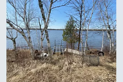 8219 Lone Wolf Drive NE, Pennington, MN 56663 - Photo 5