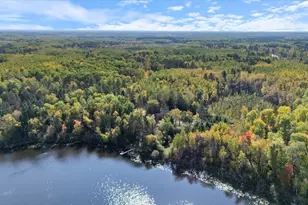 24392 S Long Lake Trail, Bigfork, MN 56628 - Photo 9