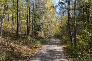 24392 S Long Lake Trail, Bigfork, MN 56628 - Photo 61