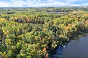 24392 S Long Lake Trail, Bigfork, MN 56628 - Photo 53