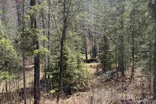 77410 Kaukamo Rd, Iron River, WI 54847 - Photo 21