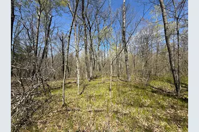 N10439 Tranus Lake Road, Springbrook, WI 54875 - Photo 17