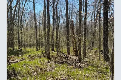 N10439 Tranus Lake Road, Springbrook, WI 54875 - Photo 15
