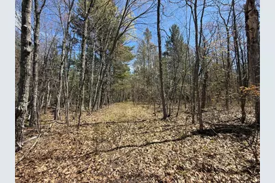 N10439 Tranus Lake Road, Springbrook, WI 54875 - Photo 27